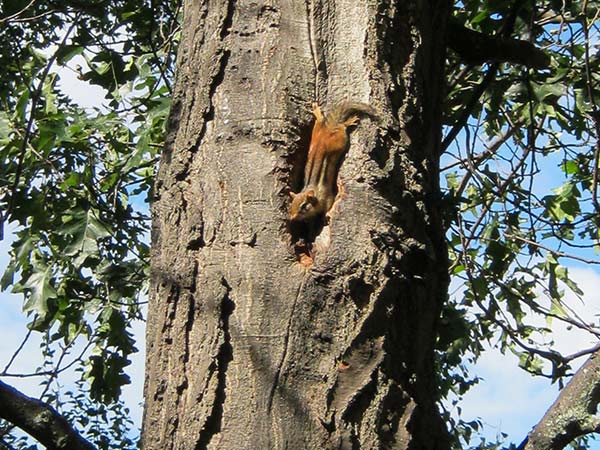 Wildlife at Cosy Cove